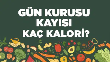 Gün Kurusu Kayısı: Besin Değeri ve Kalori İçeriği Nedir?