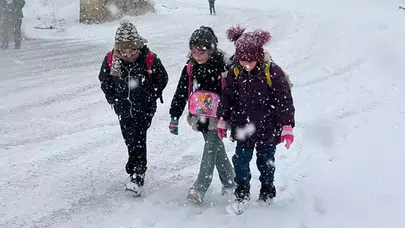 Mardin, Kastamonu ve Van'da okullar tatil edildi! Valilikler kar tatilini duyurdu