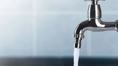 Göze Girip Vücutta Besleniyor! Musluk Suyundaki Sinsi Parazit Alarmı