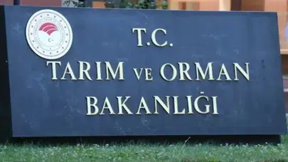 Salamda Domuz, Baldan Şurup Fışkırdı! İşte Kara Listeye Giren Gıdalar