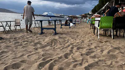 Avşa Adası’nda Plajlar İzmarit Pisliğiyle Doldu: “Kum Temizleme Makinası Neden Yok?”