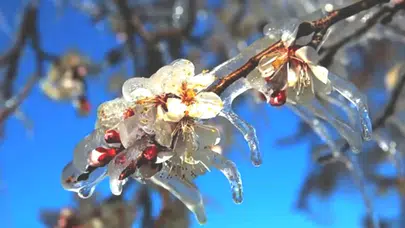 Cemre'nin İkinci Düşüş Tarihi Belli Oldu! Suya Ne Zaman Düşecek?