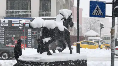 Kars'ta yoğun kar yağışı hayatı durma noktasına getirdi!