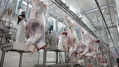 Dana karkas maliyeti açıklandı: Ağustos 2026’da kesim fiyatı en az 680 TL mi olmalı?