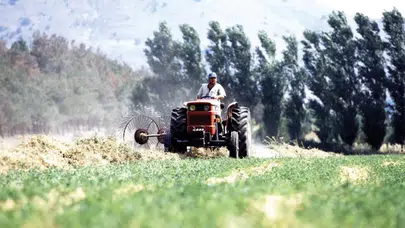 Gübre Fiyatlarındaki Artış Tarlalarda Endişe Yarattı!
