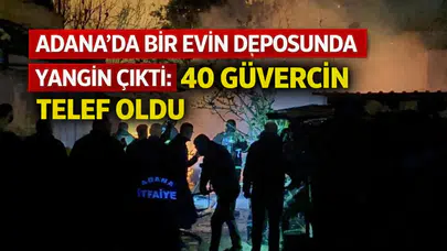 Adana’da bir evin deposunda yangın çıktı: 40 güvercin telef oldu