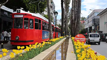 Antalya sokakları lale ve mevsimlik çiçeklerle renklendirildi