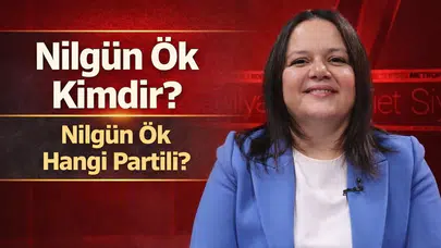 Nilgün Ök Kimdir, Hangi Partili?