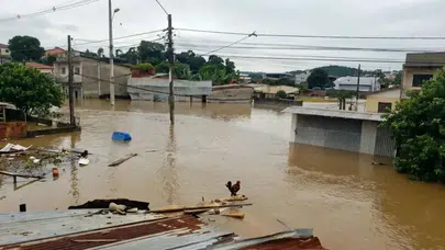 Lo siento Wilson ne demek? Lo siento Wilson olayı ne?