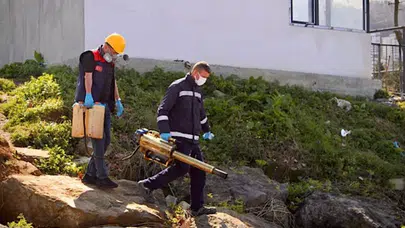 Giresun'da Zararlılarla Mücadele İçin İlaçlama Faaliyetleri Başladı