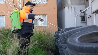 Yalova’da Sinek İle Mücadele Seferberliği Sürüyor!