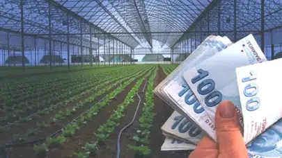 Köylüler İçin Sevindirici Gelişme: Devlet Destek Ödemeleri Yolda!