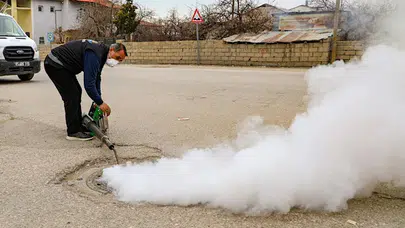Van'da Kış Aylarında Haşereyle Mücadele Çalışmaları Başarıyla Tamamlandı!