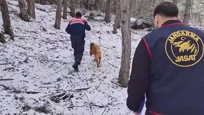 Ormanda Bulunan İnsan Kafatası ve Kemikler, 10 Yıl Önceki Çifte Cinayet Sırrını Ortaya Çıkardı!