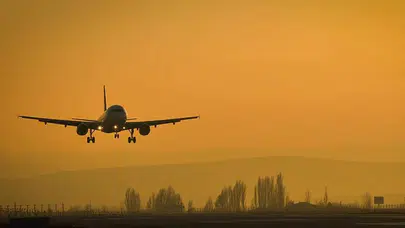 Michel Lotito adlı bir Fransız 1978-1980 yılları arasında ne yapmıştır? Milyoner Sorusu