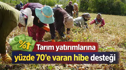 Tarım yatırımlarına yüzde 70'e varan hibe desteği