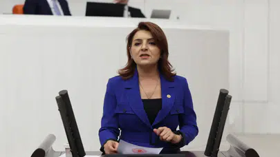 CHP'li Gülcan Kış'tan torba yasa tepkisi: Yetkiler merkezileşiyor, yerel yönetimler devre dışı bırakılıyor