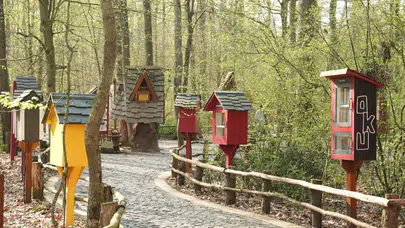 Orman Kütüphanesi: Doğanın İçinde Okuma Deneyimi Başka!