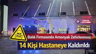 Balık Firmasında Amonyak Zehirlenmesi: 14 Kişi Hastaneye Kaldırıldı