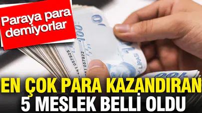 Geleceğin kariyer haritası şekillendi: İşte servet değerinde maaş sunacak meslek grupları