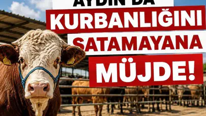 Kurban pazarında kalan üreticiye devlet güvencesi: ESK devreye giriyor