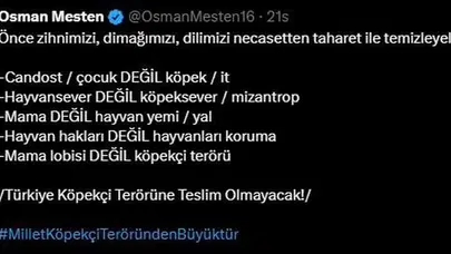 AK Parti Bursa Milletvekili Osman Mesten'den Sokak Köpekleri Çıkışı: "Can Dost Değil, Köpektir"