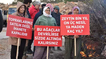 Akbelen’de kömür madeni genişlemesine fren: Danıştay "acele" kararı askıya aldı