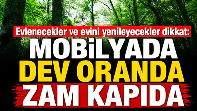 Düğün planı yapanlar ve evini yenilemeyi erteleyenler için kritik uyarı: Mobilya fiyatlarında büyük artış bekleniyor