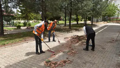 Siverek'ten Viranşehir'e dostluk eli: Fırtınanın izleri siliniyor