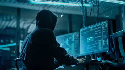 Devletin gizli kapıları bir çocuğa emanet: 12 milyon vatandaşın bilgisi sızdırıldı