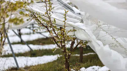 Meteorolojiden "yaz kapıda" müjdesi: Kar yerini bunaltıcı sıcaklara bırakıyor