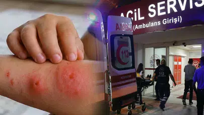 Asya Kaplan Sivrisineği Tehdidi ve Çocuklarda İltihap Riski