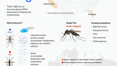 Sivrisinek kabusuna teknolojik çözüm: Google'dan milyonlarca "kısır" operasyon