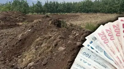 Tarım sektöründe iş gücü krizi maliyetleri gölgede bıraktı