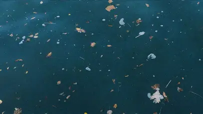 Akdenizdeki plastik kirliliğinin ana sorumlusu nehirler