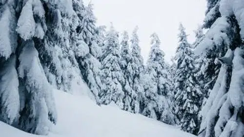 Batı Karadeniz ve Marmara: Yoğun Kar Alarmı