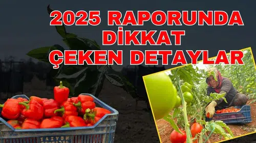 TÜİK’in 2025 raporunda dikkat çeken detaylar