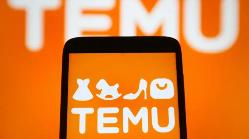 Temu Patladı! T.C. Kimlikler Sistemde, Bakanlık Alarmda