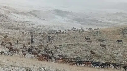 Erzurum’da Kartpostallık Anlar: Palandöken’e Yılın İlk Karı Düştü