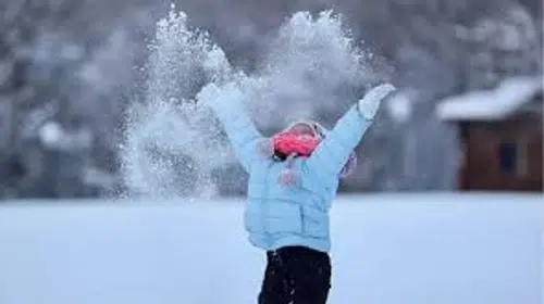 Muş’ta 2 Ocak cuma Günü okullar tatil mi? Muş Valiliğinden açıklama geldi mi?