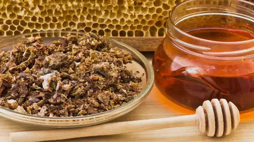 Propolis nedir? Propolis'in faydaları nelerdir? Propolis nasıl tüketilir?