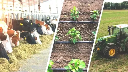 Tarım Sektörüne Destek: Çiftçilere Dekar Başına 310 TL Mazot ve Gübre Desteği Müjdesi!