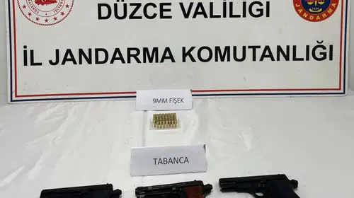 Düzce'de jandarmadan ruhsatsız silah operasyonu