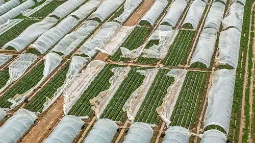 Antalya'da Fırtına, Hortum ve Sel Felaketi: Zarar 3 Milyar TL'ye Ulaştı!