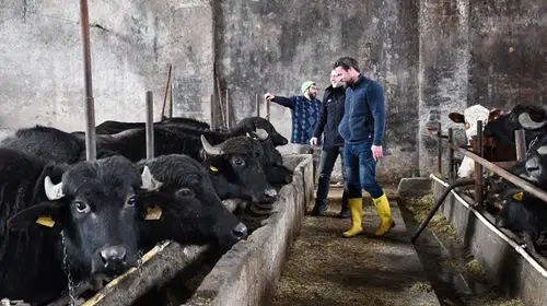 Manda Hibe Desteği: 2026 Hibe Desteklerinden Nasıl Yararlanılır?