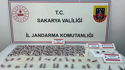 Sakarya'da Jandarmadan Uyuşturucu Operasyonu: 491 Sentetik Hap ve Bonzai Ele Geçirildi!
