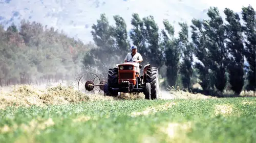 Gübre Fiyatlarındaki Artış Tarlalarda Endişe Yarattı!