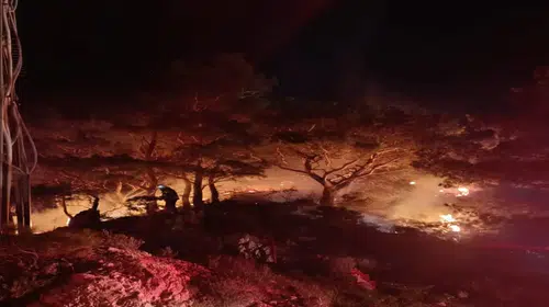 Bodrum’da ormanlık alanda korkutan yangın! Alevler geceyi aydınlattı