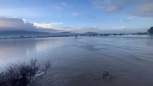 Söke'de yoğun yağışlar Sarıçay'ı taşırdı, tarım arazileri ve yerleşimler tehdit altında!