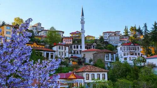 Trabzon'un En Lüks Semti Hangisi?